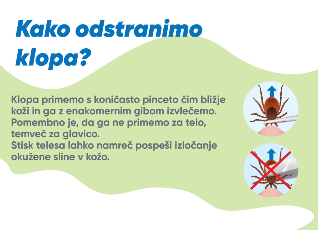 kako odstranimo klopa